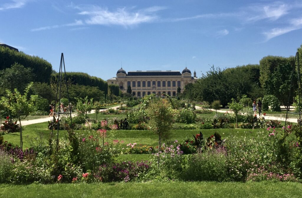 Visites à domicile quartier jardin des plantes